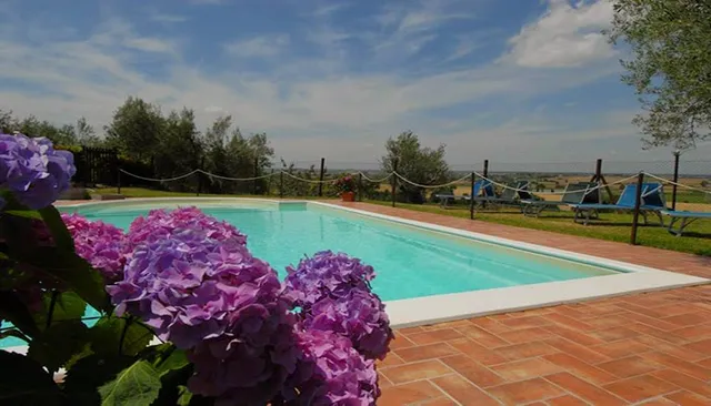 Agriturismo La Piaggiola degli Olivi di Macchiaiolo Adele