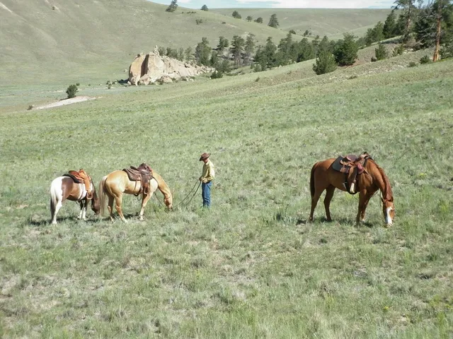 Badger Creek Ranch