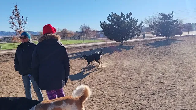 Town of Prescott Valley Dog Park