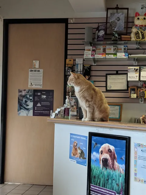 Towne Centre Animal Hospital