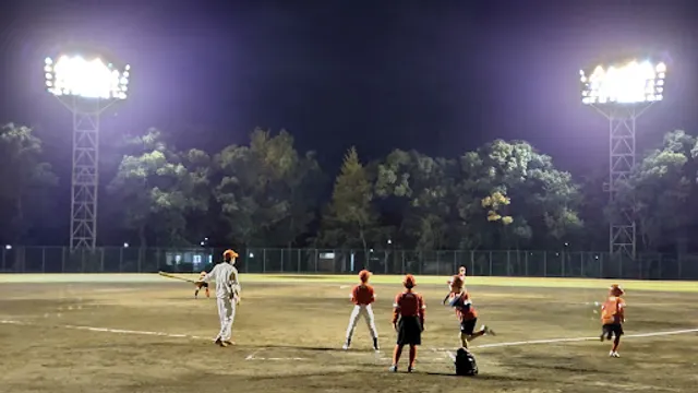 Johoku Central Park Baseball Field