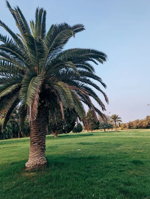 Espacio del Levante UD (Nazaret)