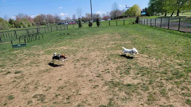 Concord Dog Park