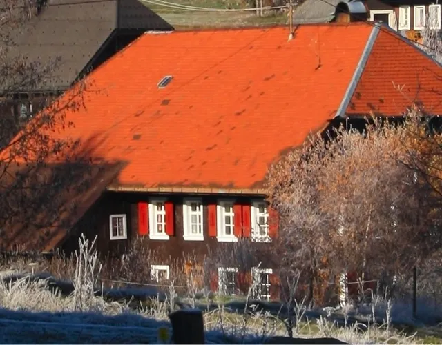Schwarzwaldbauernhaus Bernau
