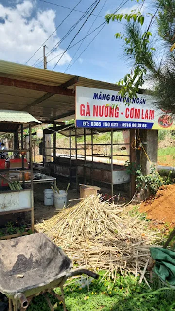 Cô Xoan Măng Đen Đại Ngàn GÀ NƯỚNG CƠM LAM