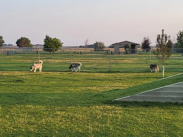 Dog Park