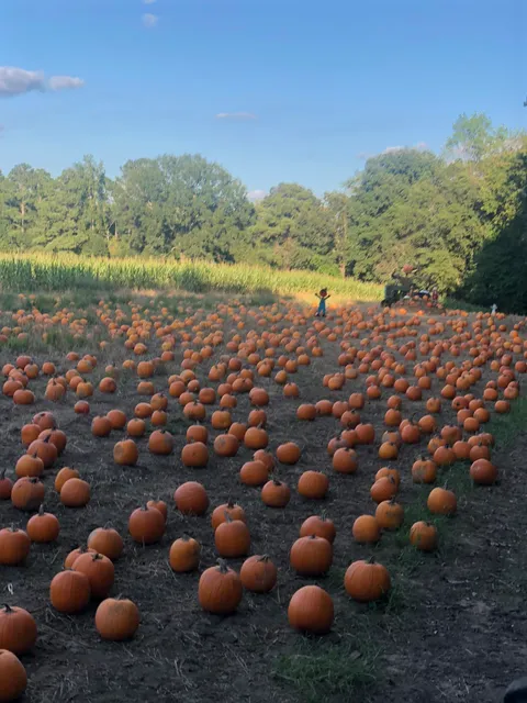 Naylor Family Farm & Corn Maze