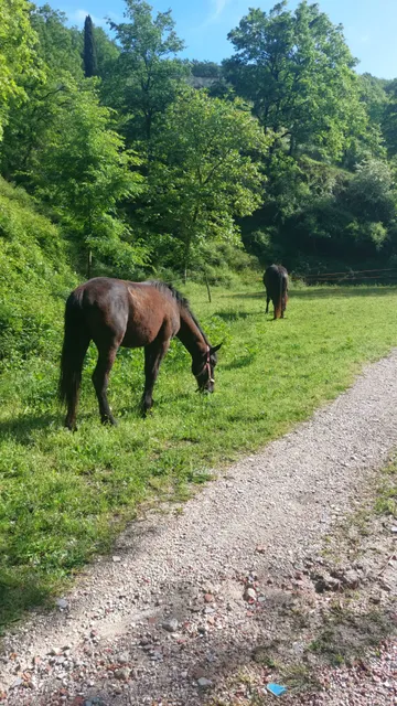 True Umbria - Belvedere