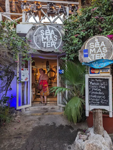 Sea master barra de navidad