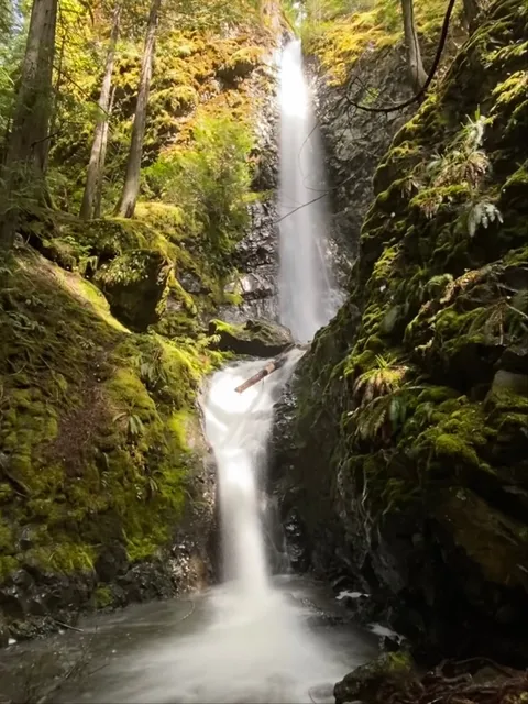Lupin Falls Trailhead