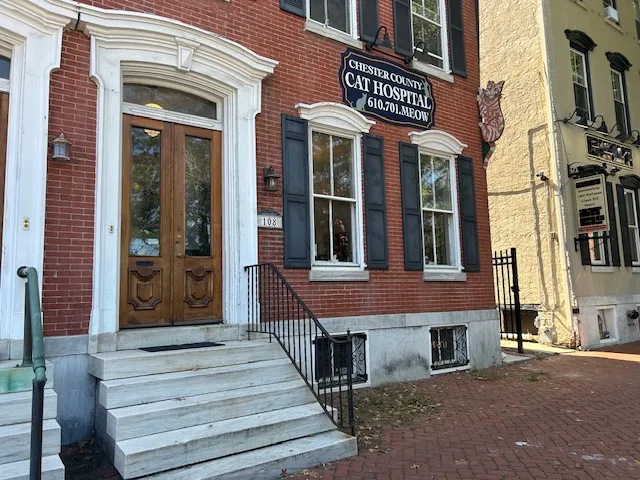 Chester County Cat Hospital
