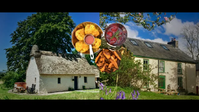 Robin's Realm - C18th Holiday cottage & Victorian farmhouse in Wales