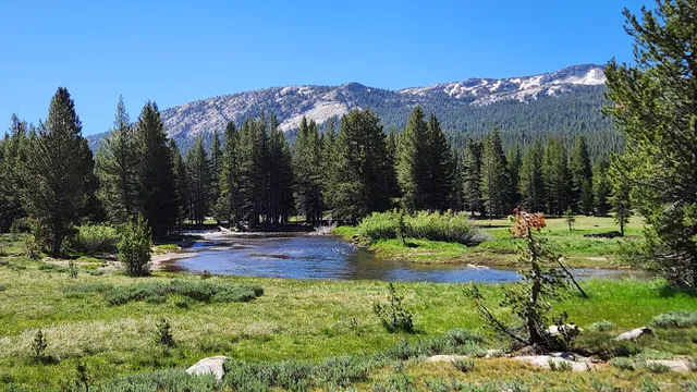 Soda Springs And Parsons Memorial Lodge Trailhead