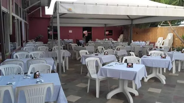 Pizzeria Ristorante New 554