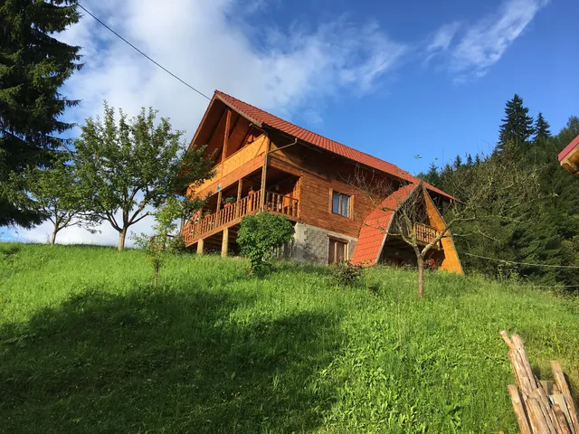 Flower Bell Ghimeş-Făget