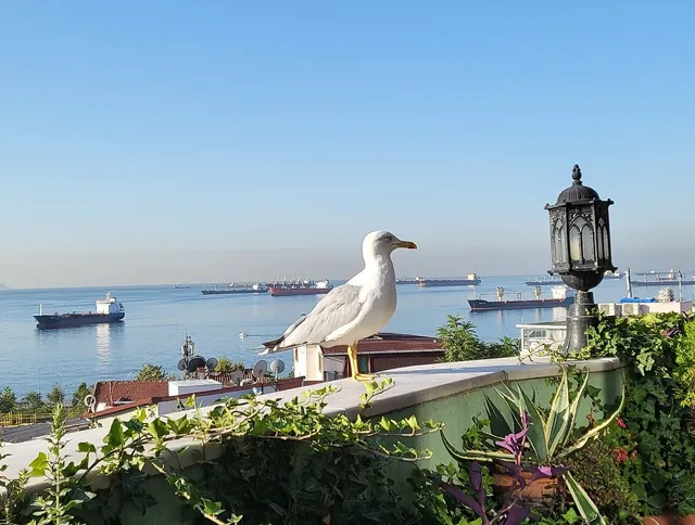 Dersaadet Hotel Istanbul