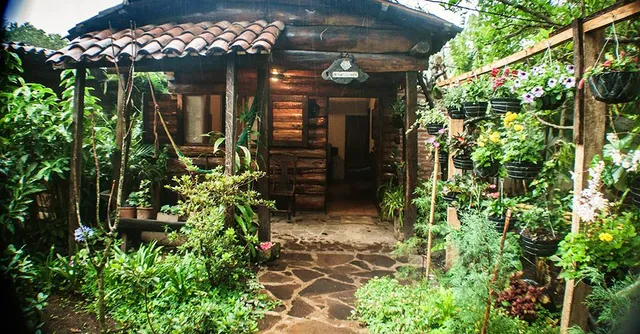 Las Flores de Eloísa