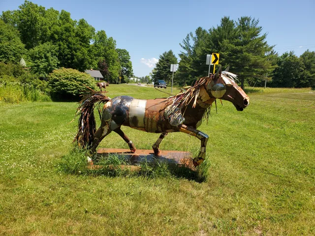 Twisted Fish Gallery