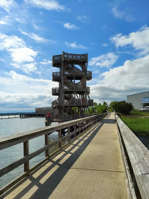 Port Royal Boardwalk and Observation Tower