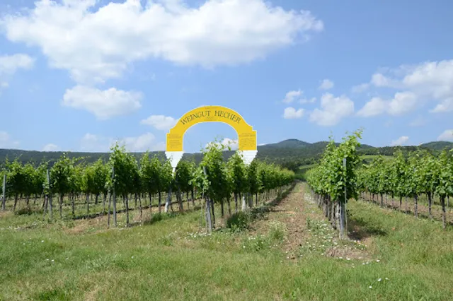 Weingut Hecher