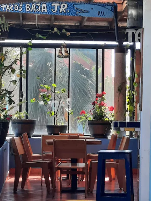 Tacos Baja Jr