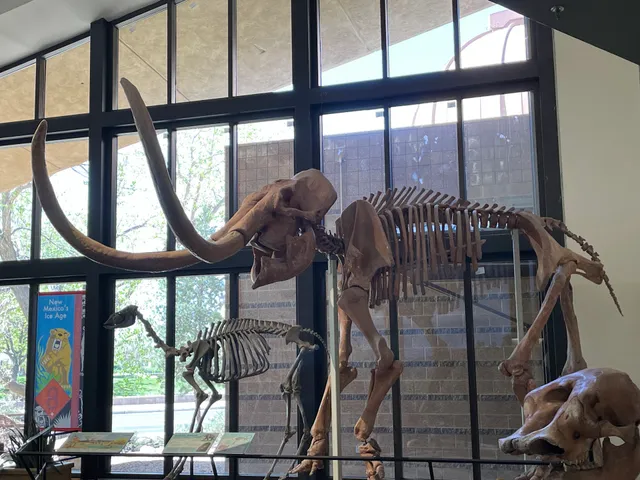 Verus Research DynaTheater