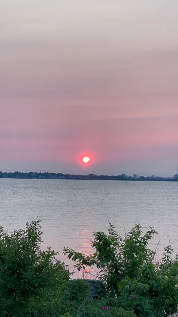 Nut island hough's neck