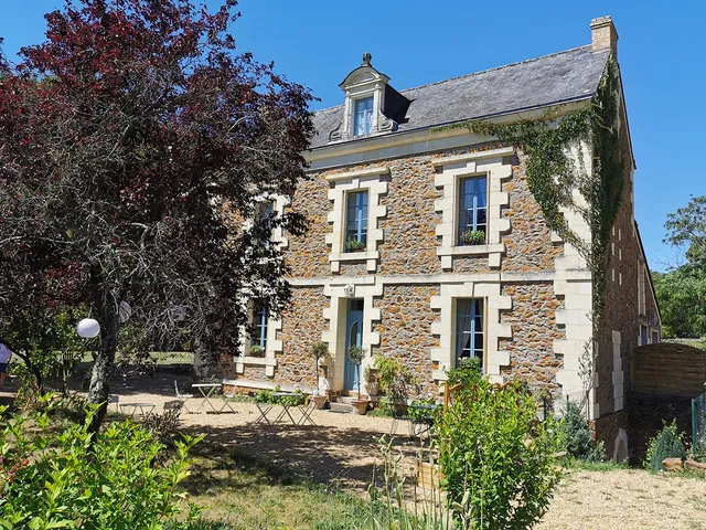 Quatre Chats Sous un Pin