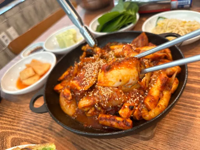 조가네 갑오징어