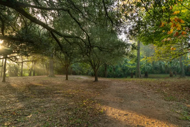 Bonham Family Nature Park