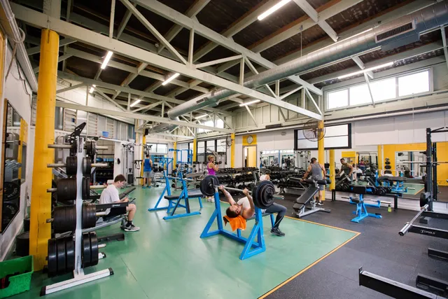 Massey University Gym