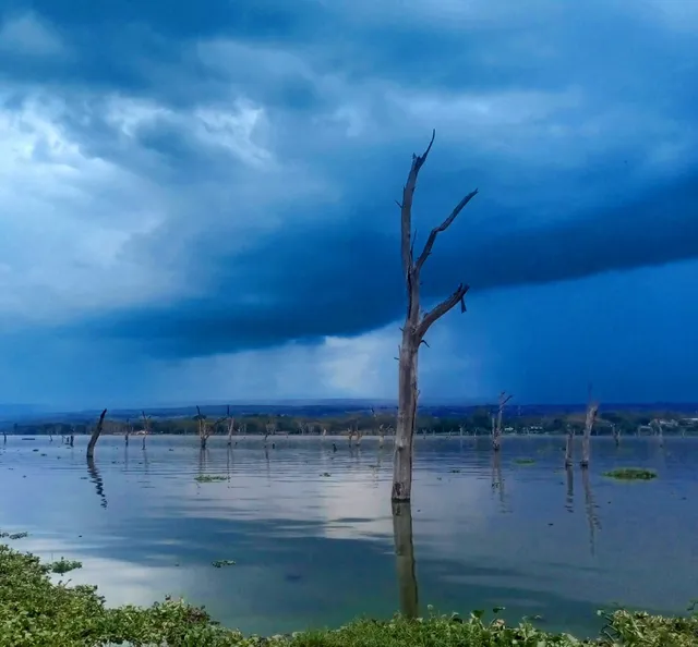 Lakes NAIVASHA - Crescent Island