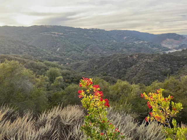 Fern Trail Lookout Point