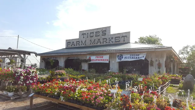 Tice's Farm Market