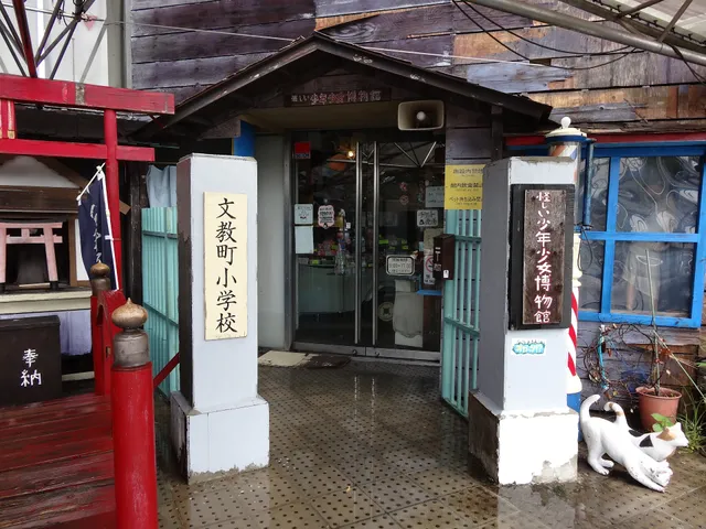 The Weird Museum of Boys and Girls