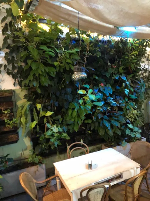 AMA - Vegan Restaurant