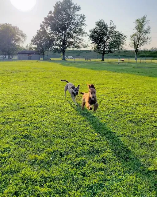 Kaufman Dog Park