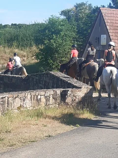 gite fée grenouille