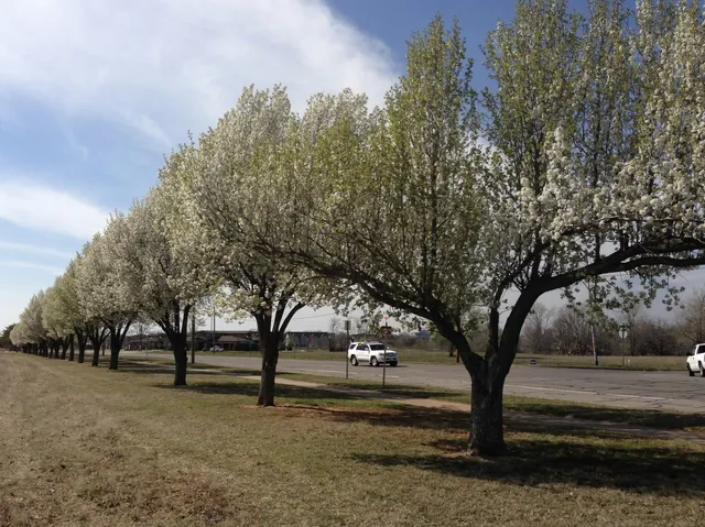 Hitachi Computer Products, America