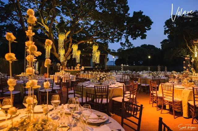 Volare by Ale Peredo