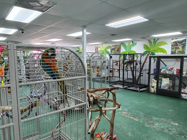 Parrot Outreach Society