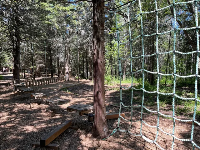 parcours d'aventure en forêt ( créations dans les arbres )