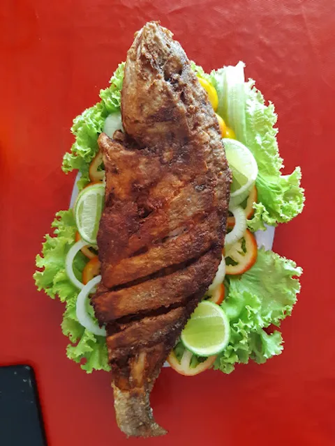 Bar e Restaurante 2 Opcao