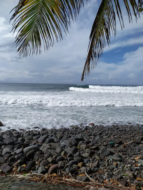 Surf School Manoa Surf School