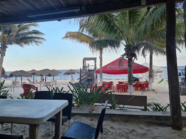 Cockteleria Chayito / Cayuse