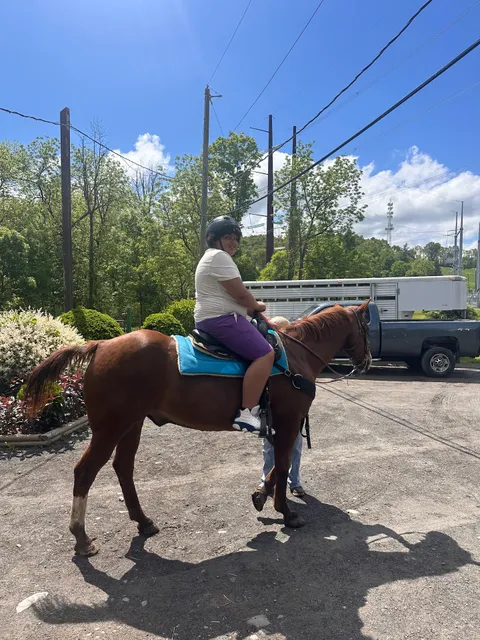 Bushkill Riding Stables