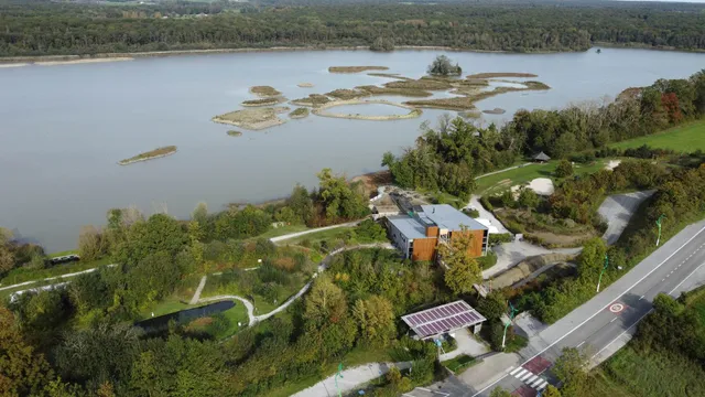 Cabanes au bord de l'étang - Aquascope Virelles