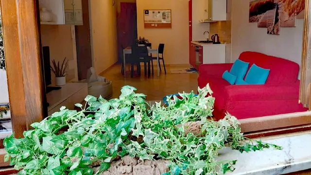 Brisa Marina Apartment