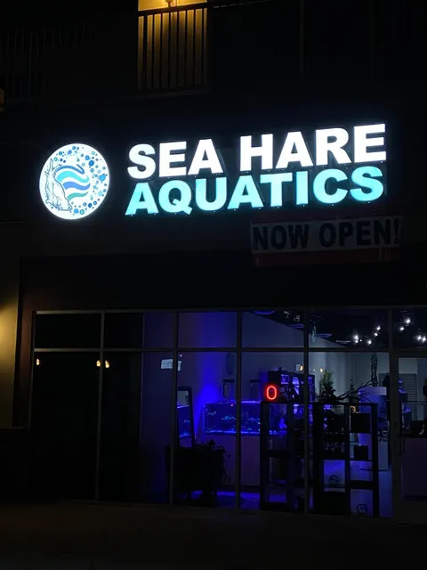 Sea Hare Aquatics