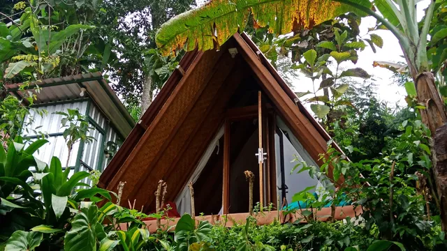 ECO Bedugul adventurer camp